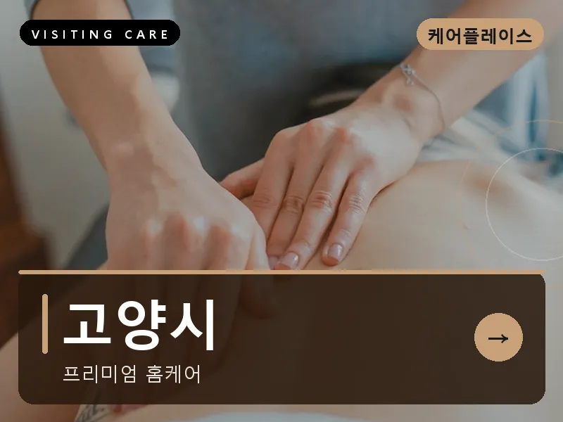 고양시 출장마사지 - 고양 스타케어