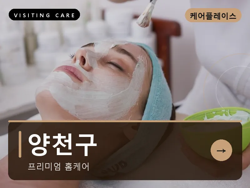 서울 양천구 출장마사지 목동 파라곤케어 건식