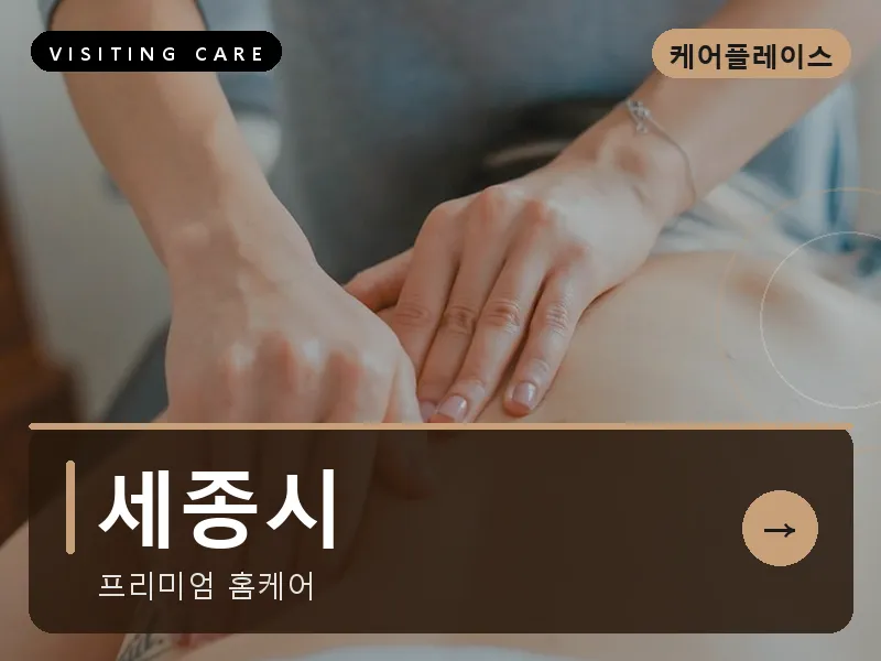 세종 세종시 출장마사지 세종 리버케어 건식